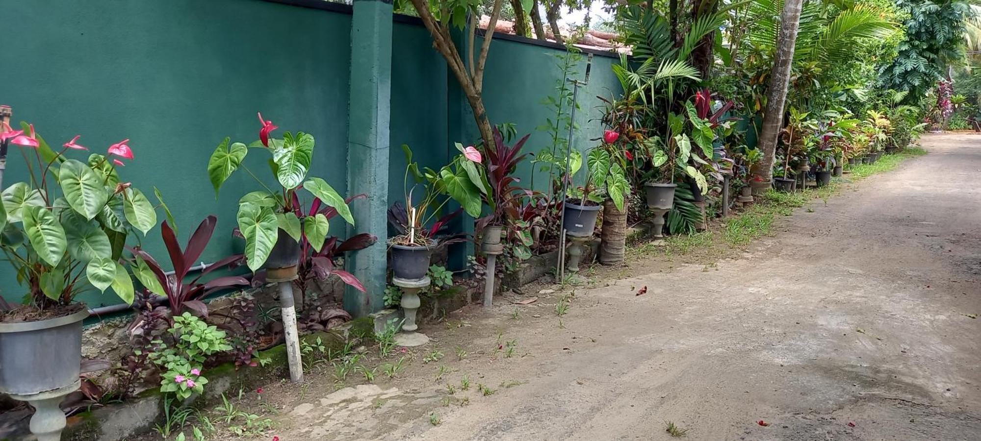 Nooit Gedacht Holiday Resort Unawatuna Exteriör bild