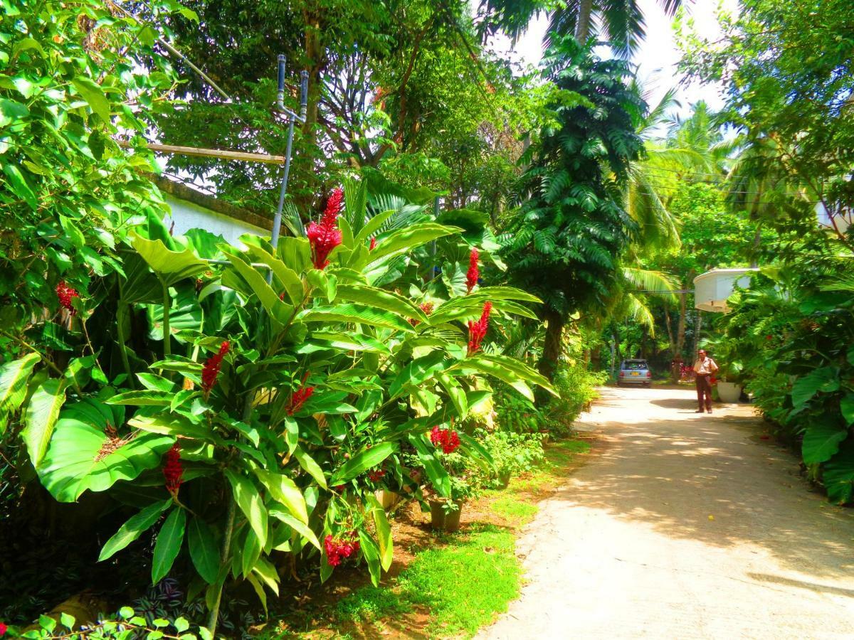 Nooit Gedacht Holiday Resort Unawatuna Exteriör bild