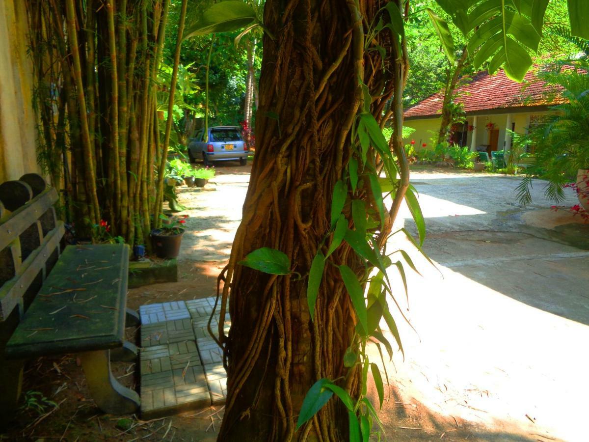 Nooit Gedacht Holiday Resort Unawatuna Exteriör bild